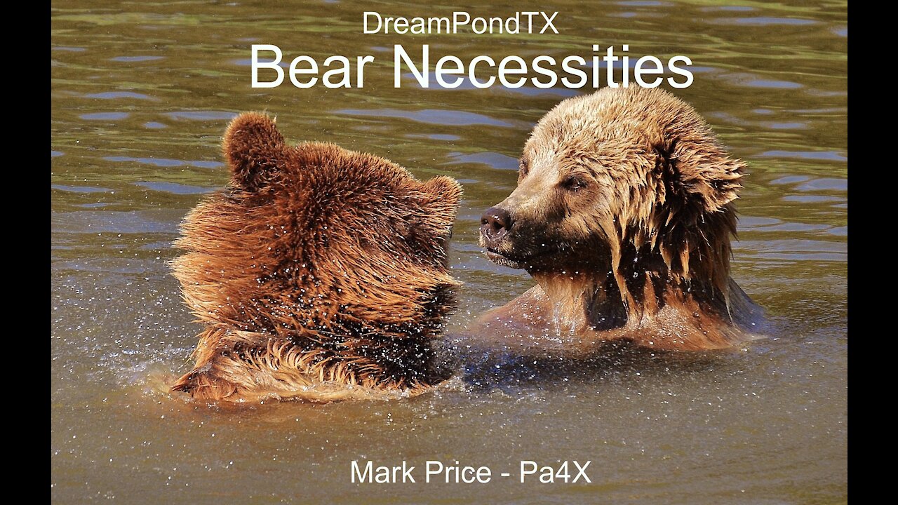 DreamPondTX/Mark Price - Bear Necessities (Pa4X at the Pond)