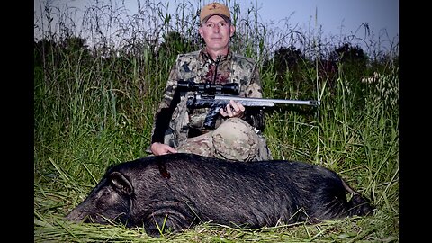 HANDGUN HUNTING - Hog Hunting With Custom XP100
