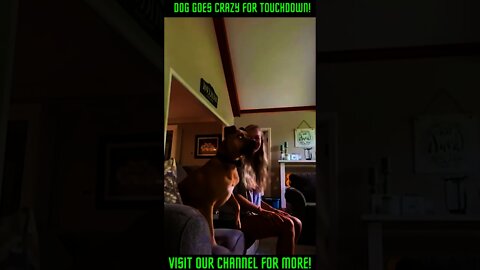 Dog Goes Crazy for Touchdown! #Shorts #viral #LOL #trending #DogLovesFootball
