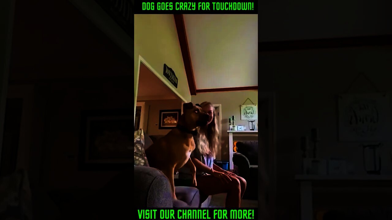 Dog Goes Crazy for Touchdown! #Shorts #viral #LOL #trending #DogLovesFootball