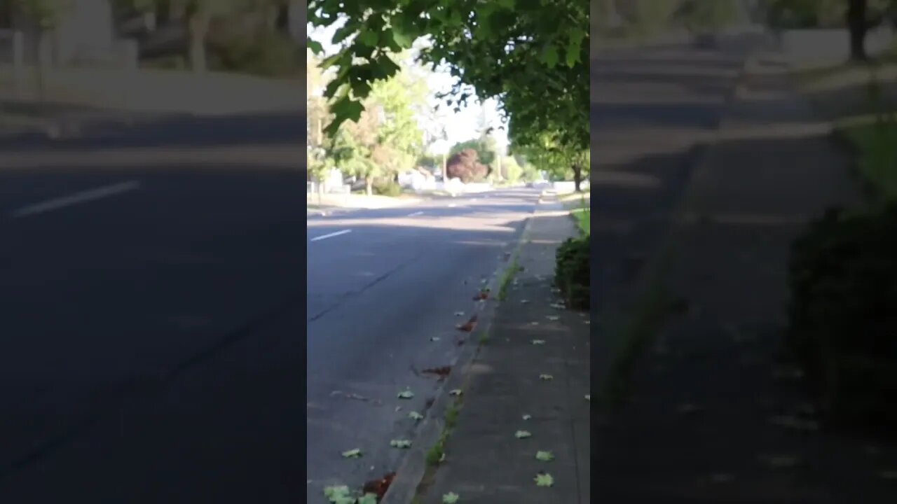 Eg hatch getting down