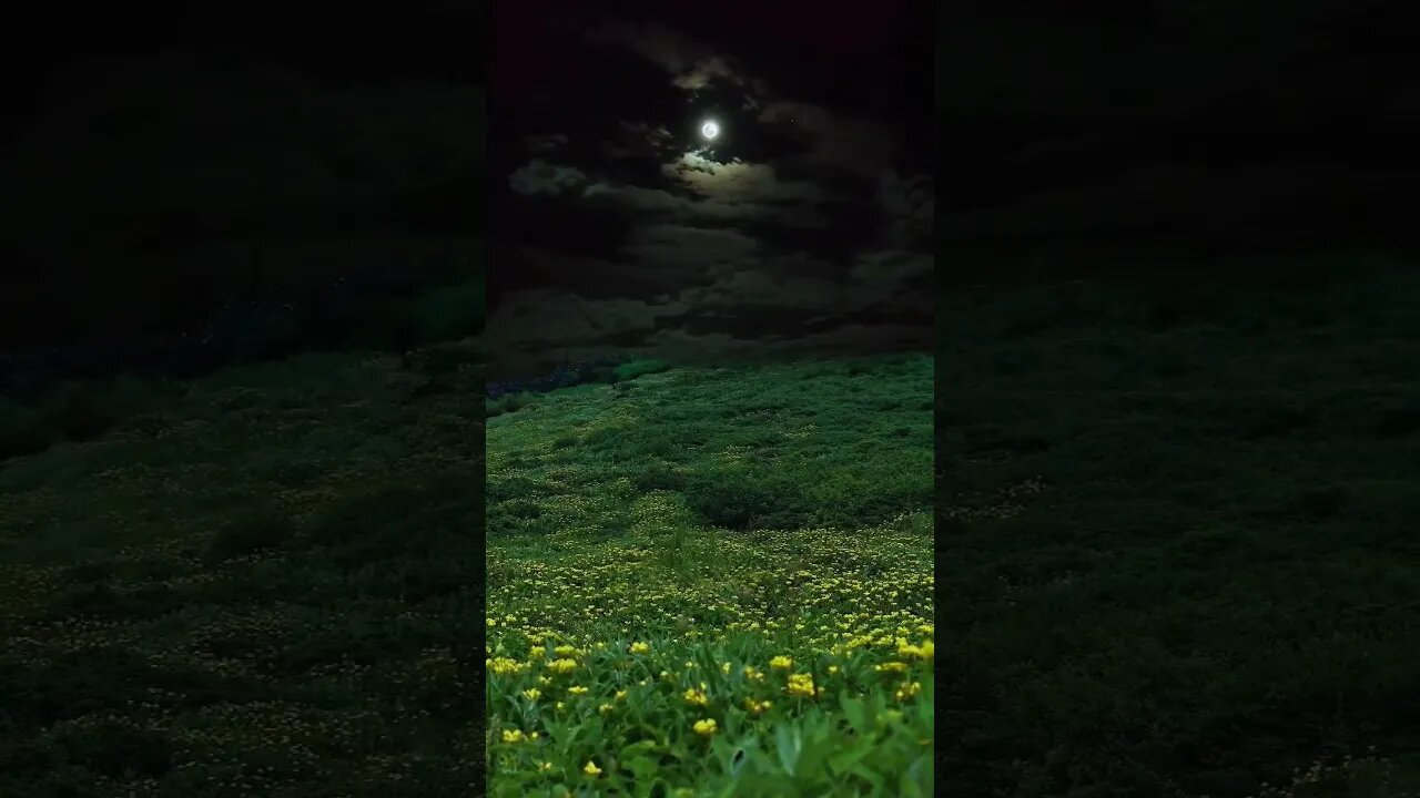 Move Like a Moon