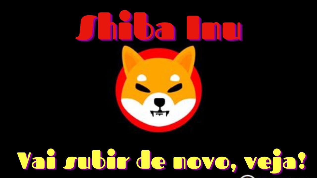 Inevitável, Shiba Inu vai valorizar novamente. Confira!