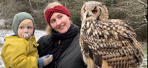 Flying with large owl - kids with tame amazing bird of prey