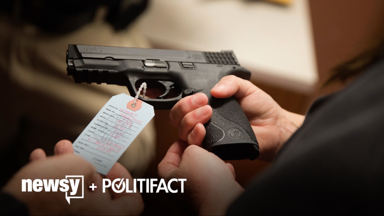 What The Fact: Analyzing Support For Gun Background Checks