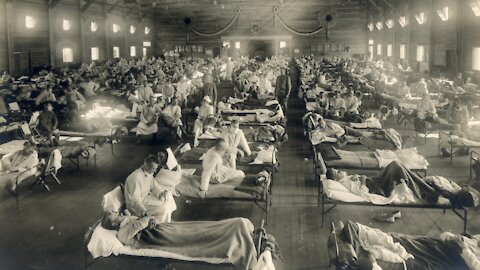 Fake News And The 1918 Flu