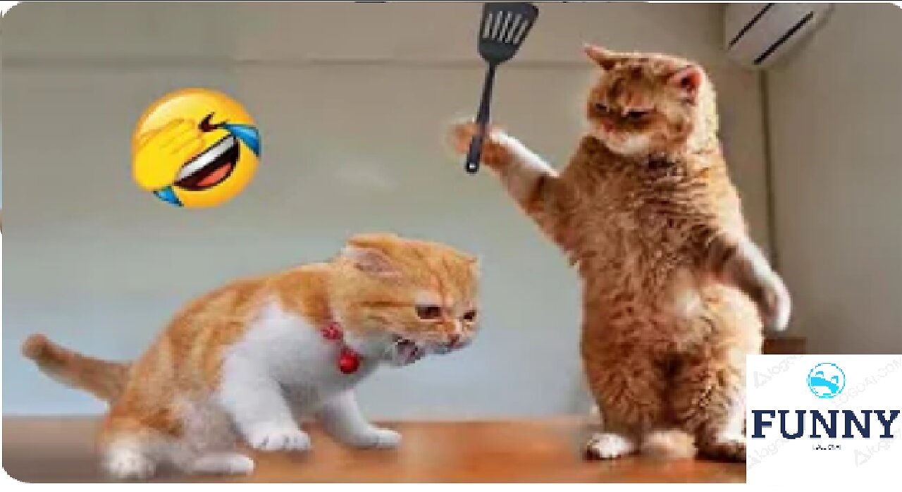 Funniest Animals 2023 😂 Funny Dogs and Cats Videos 😺🐶 Part 1 ℱᵒᒻᒻᵒ꒳◡̈⃝