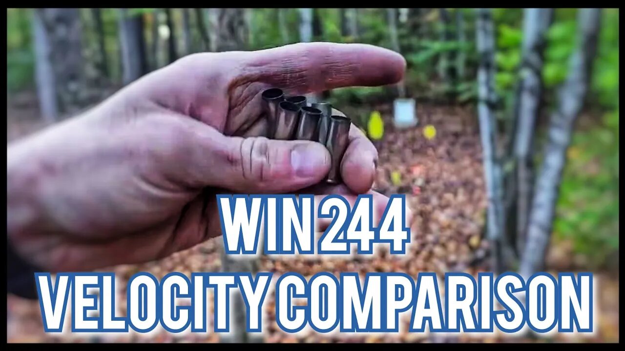 38 Spl Velocity Comparison Between 1-7/8" Ruger LCR and 4" Blackhawk With Winchester 244 Powder