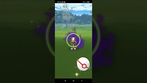 Pokémon GO-Shadow Houndour