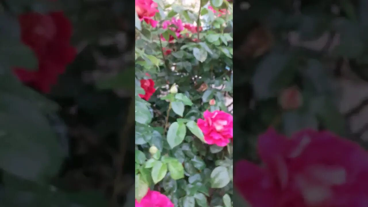 29. Mai 2023
