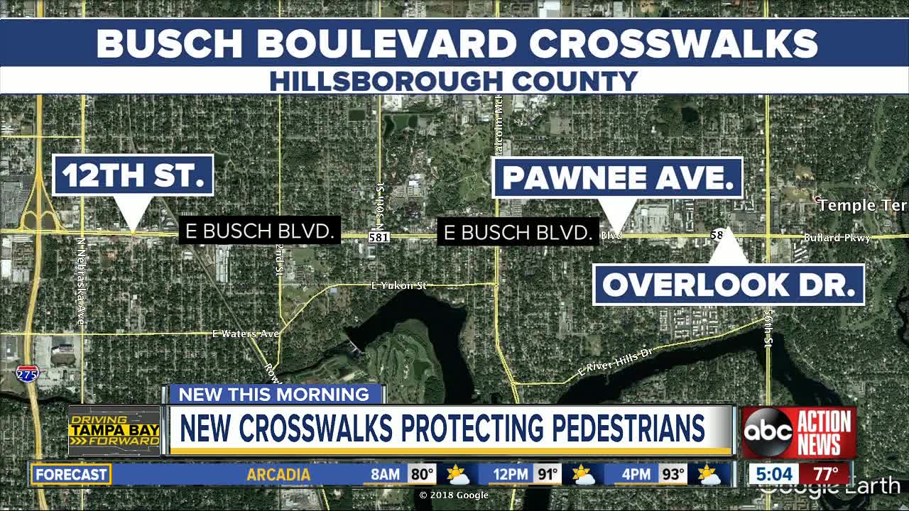 New, high-intensity crosswalks slated for Busch Boulevard and Hillsborough Avenue