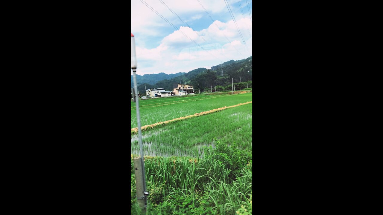 Farms in Japan from a bullet train