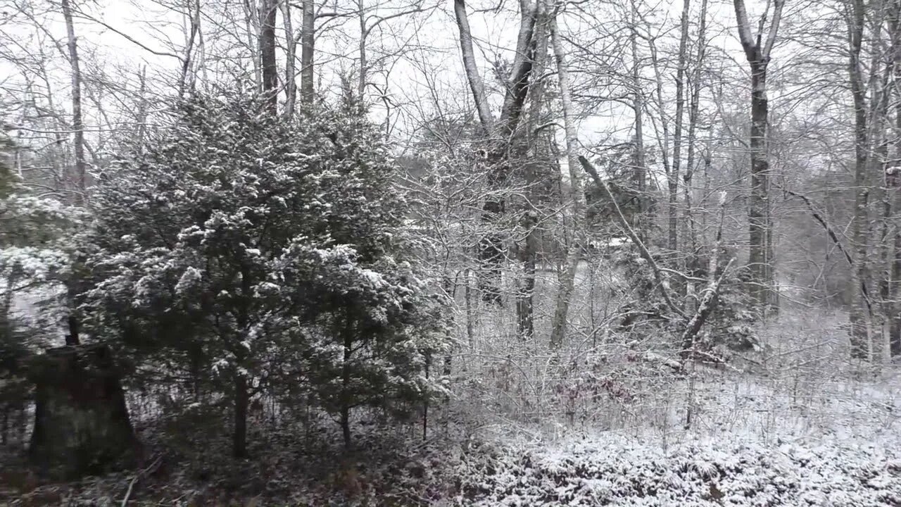 East Tennessee Weather Extremes... The Prepper Redoubt of The East The Perfect Homestead Location...