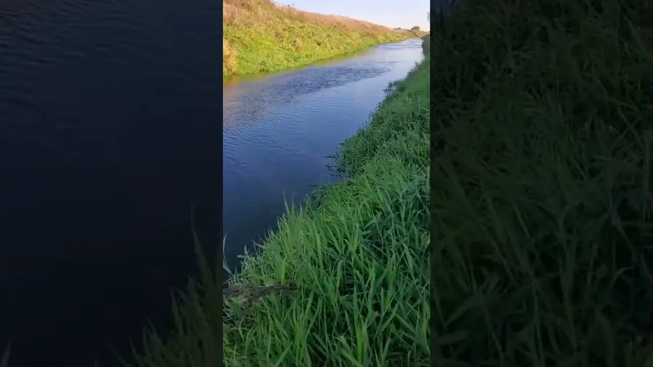 nice soothing creek.