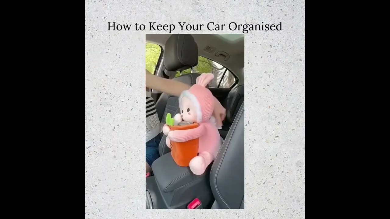 How To Keep Your Car Organized #shorts