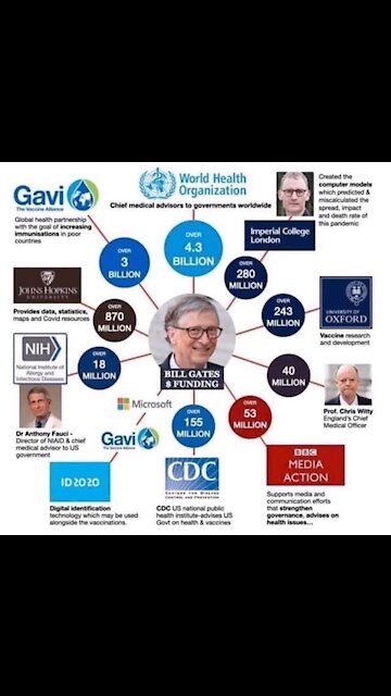 Rand Paul questions Dr. Fauci