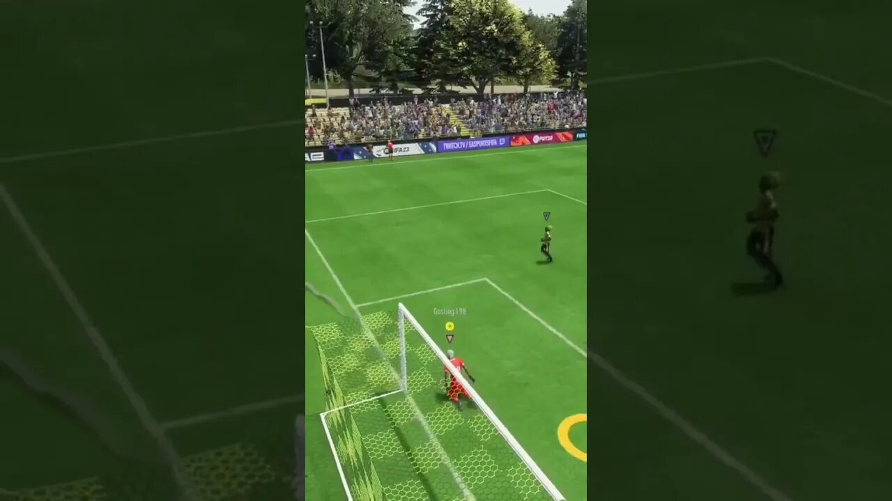 Sign This Goalie Up Immediately