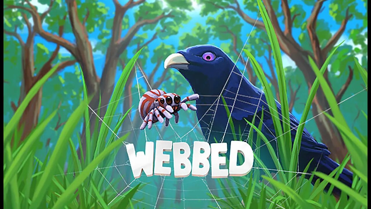 Webbed | Playing a Game as a Peacock Spider