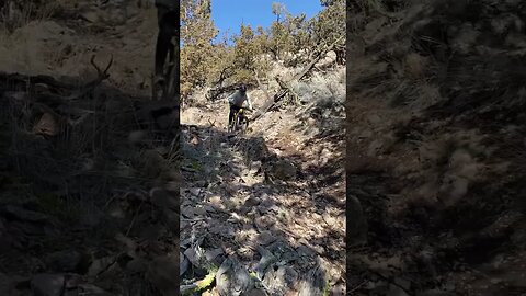 Nukeproof MegaWatt getting some pre-shootout test miles. #emtb #ytshorts