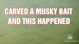 Made a Musky lure for stripers