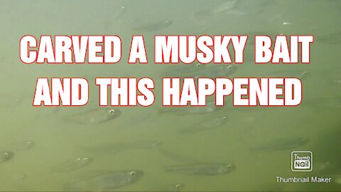 Made a Musky lure for stripers