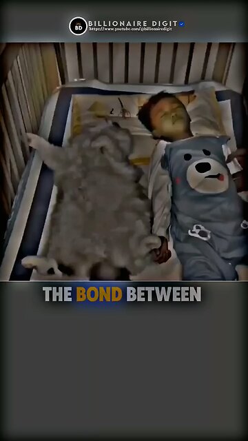 Sigma Rule🗿~ Best Video On The Internet ~motivational quotes🗿~#sigma #motivation