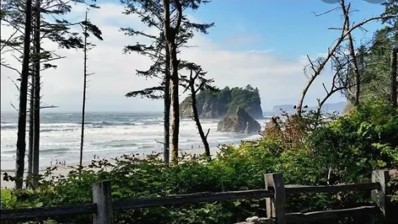 Never pay taxes Legally. #45