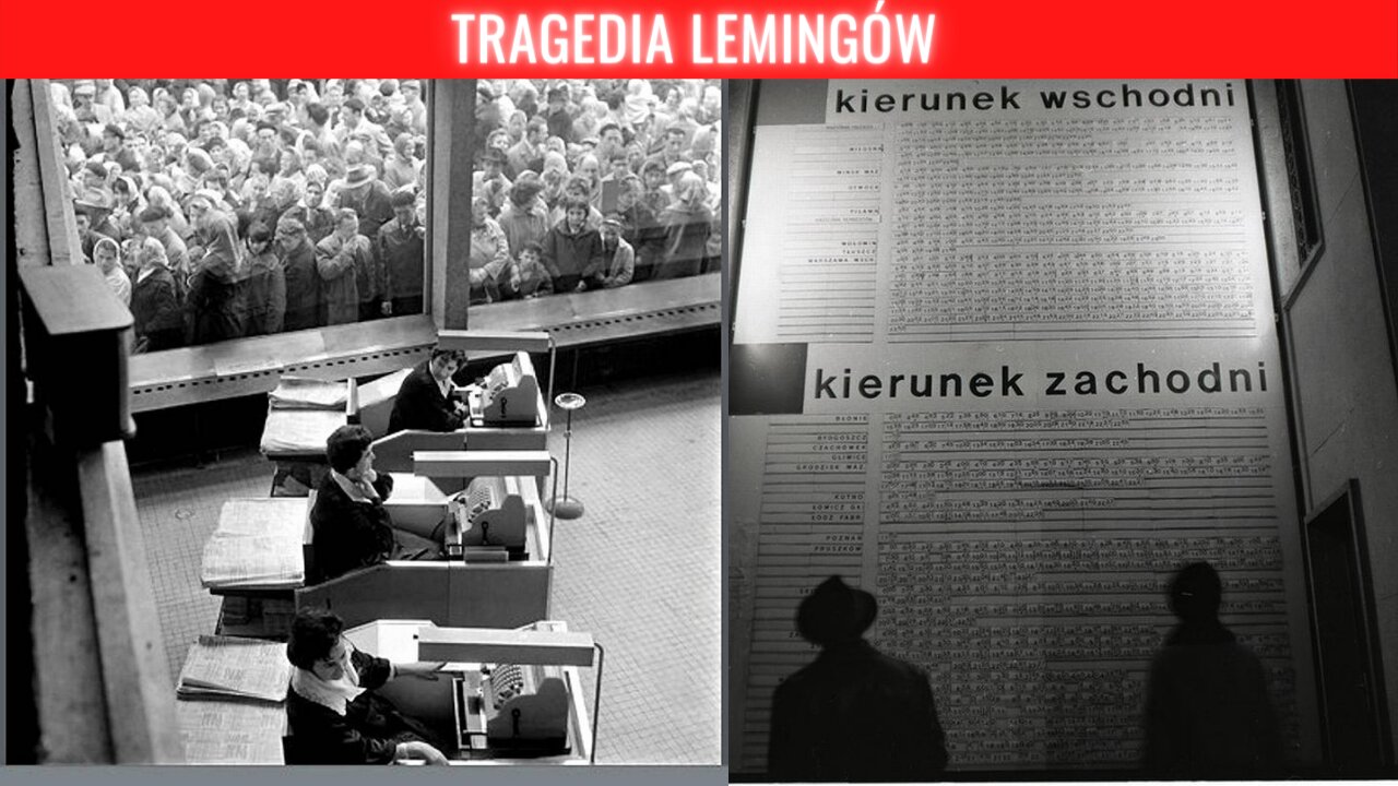 tragedia lemingów | OBNAŻANIE MATRIXA