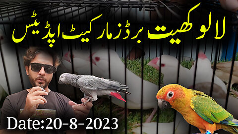 Pakistan Birds Market, Largest Birds Market, Birds Selling Business in Pakistan