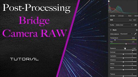 Adobe Bridge & Camera RAW - Basics