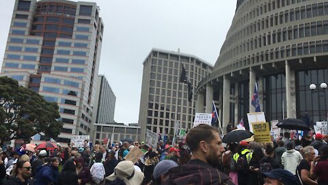 March on parliament New Zealand