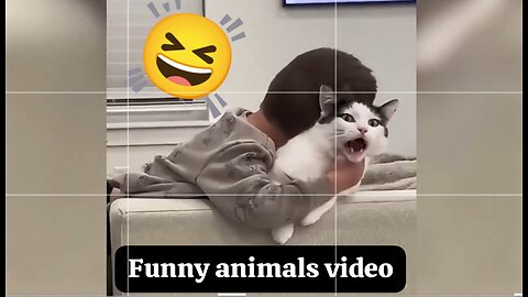 Funny Animal videos 😂