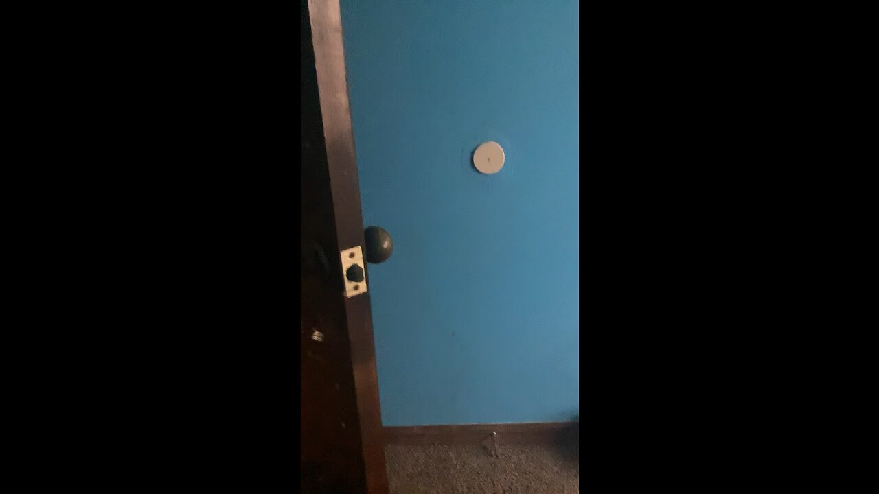 Meeting a discord mod