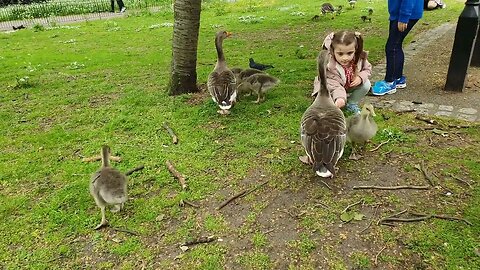 feeding the Gosings London 17th May 2023