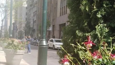 Sunday Afternoon Live with Philadelphia Walks PTSD