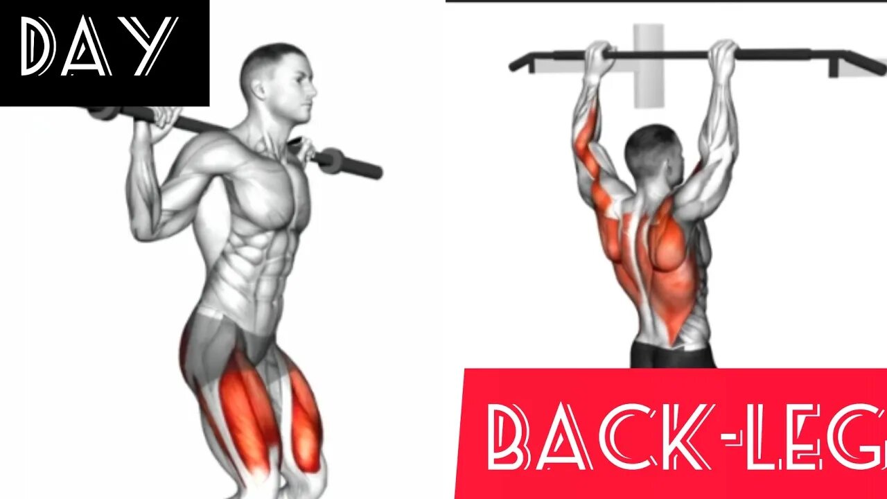 Workout back-leg(gym)