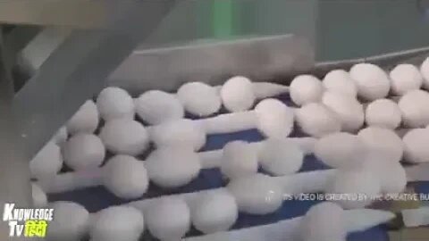 machine se Ande kaise banae jaate Hain nakali Ande kaise banae jaate Hain chemical milakar banae