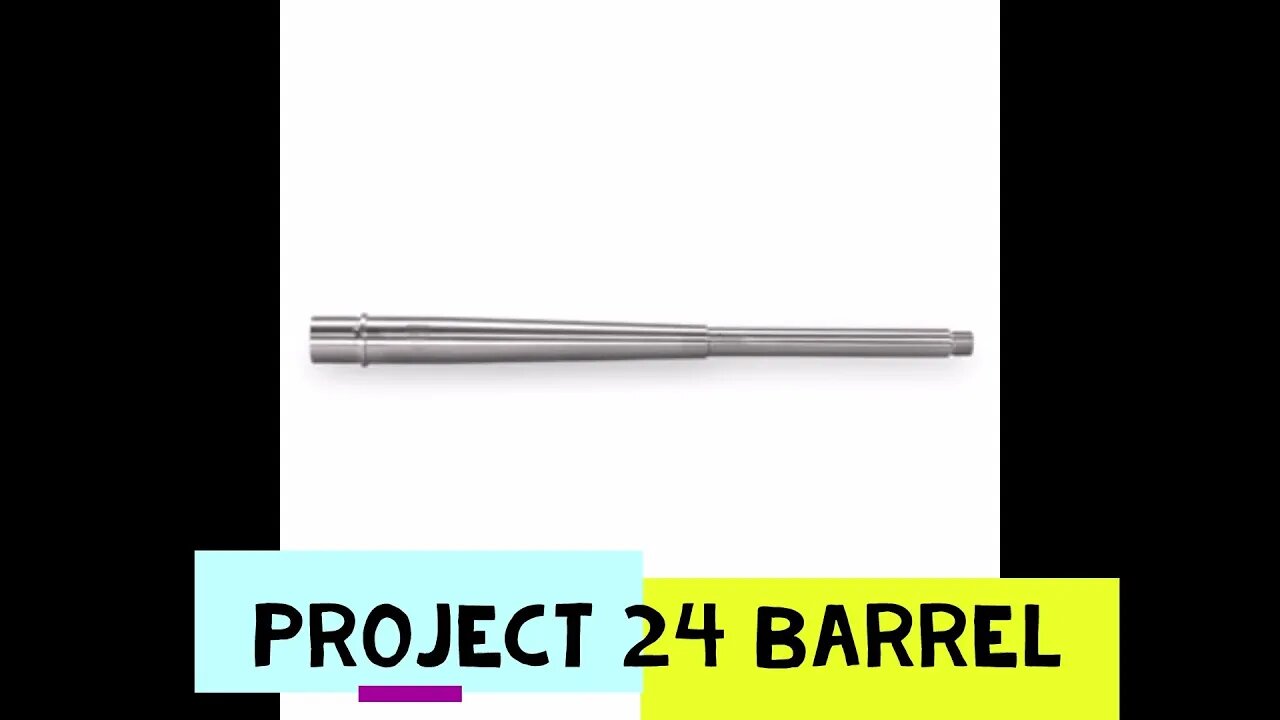 Bear Creek Arsenal 223 Wild 24-inch Barrel stainless steel