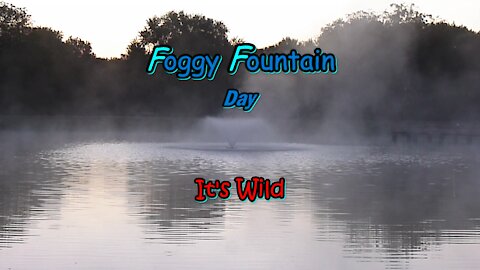 Foggy Fountain Day