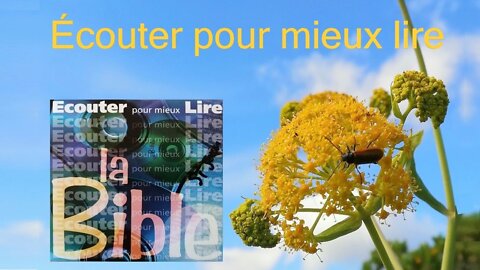 Écouter pour mieux lire la Bible