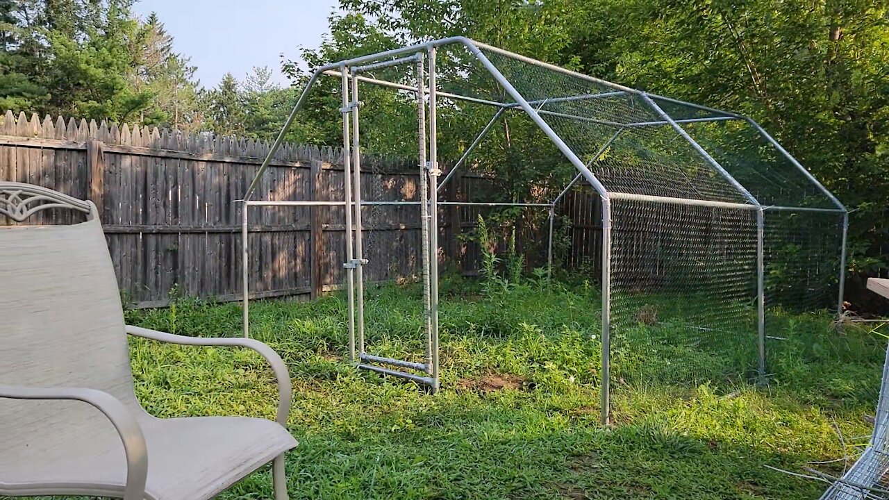 The Chicken Chronicles: Part 1.5