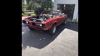 68 Firebird