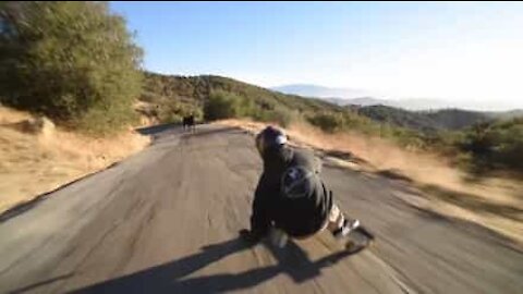 Longboard contre vache, un combat inégal