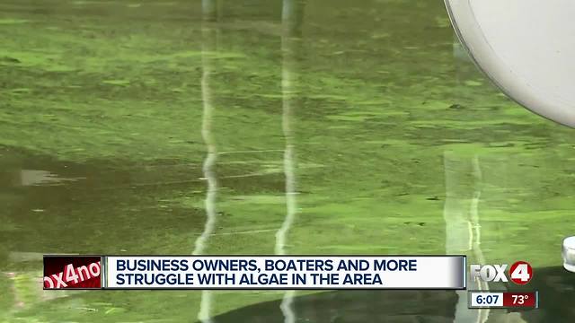 Blue-green algae moves into North Fort Myers