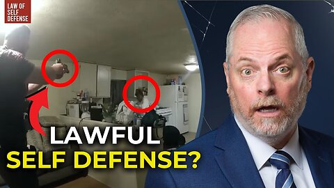 REAL LAWYER: The Legal TRUTH of the Sonya Massey Case