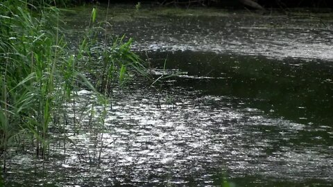 ain Drops Water Pond Shower