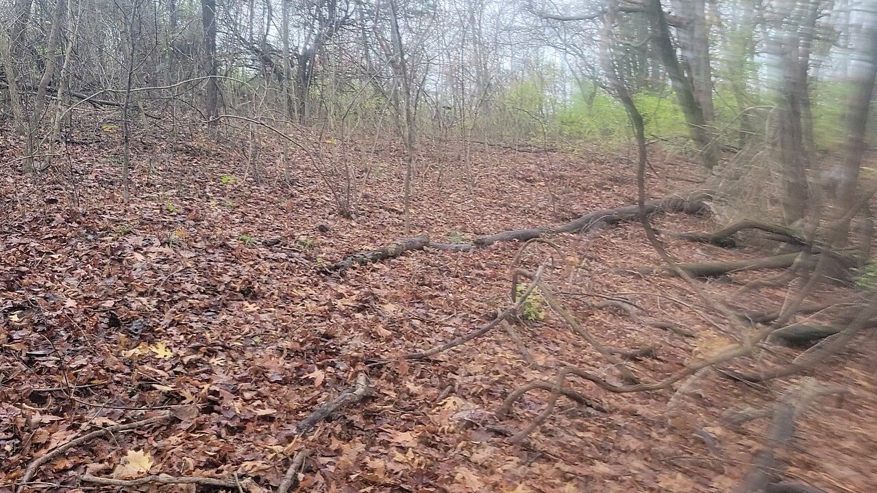 Deer Hunting Ky