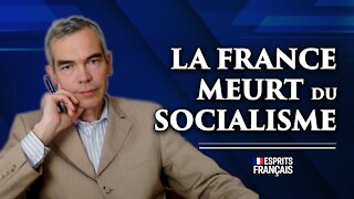 Guillaume de Thieulloy | La France meurt du socialisme