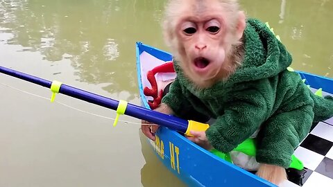 Baby monkey looking for treasure at the bottom of the lake