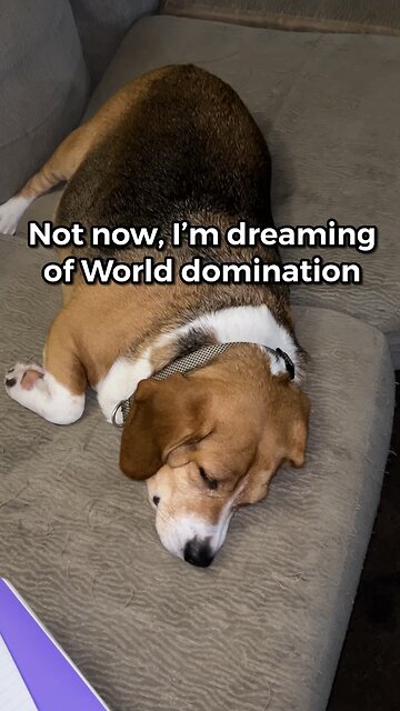 Banchee Dreams of Sweeney